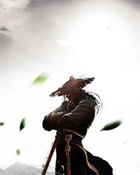 在火影世界写小说